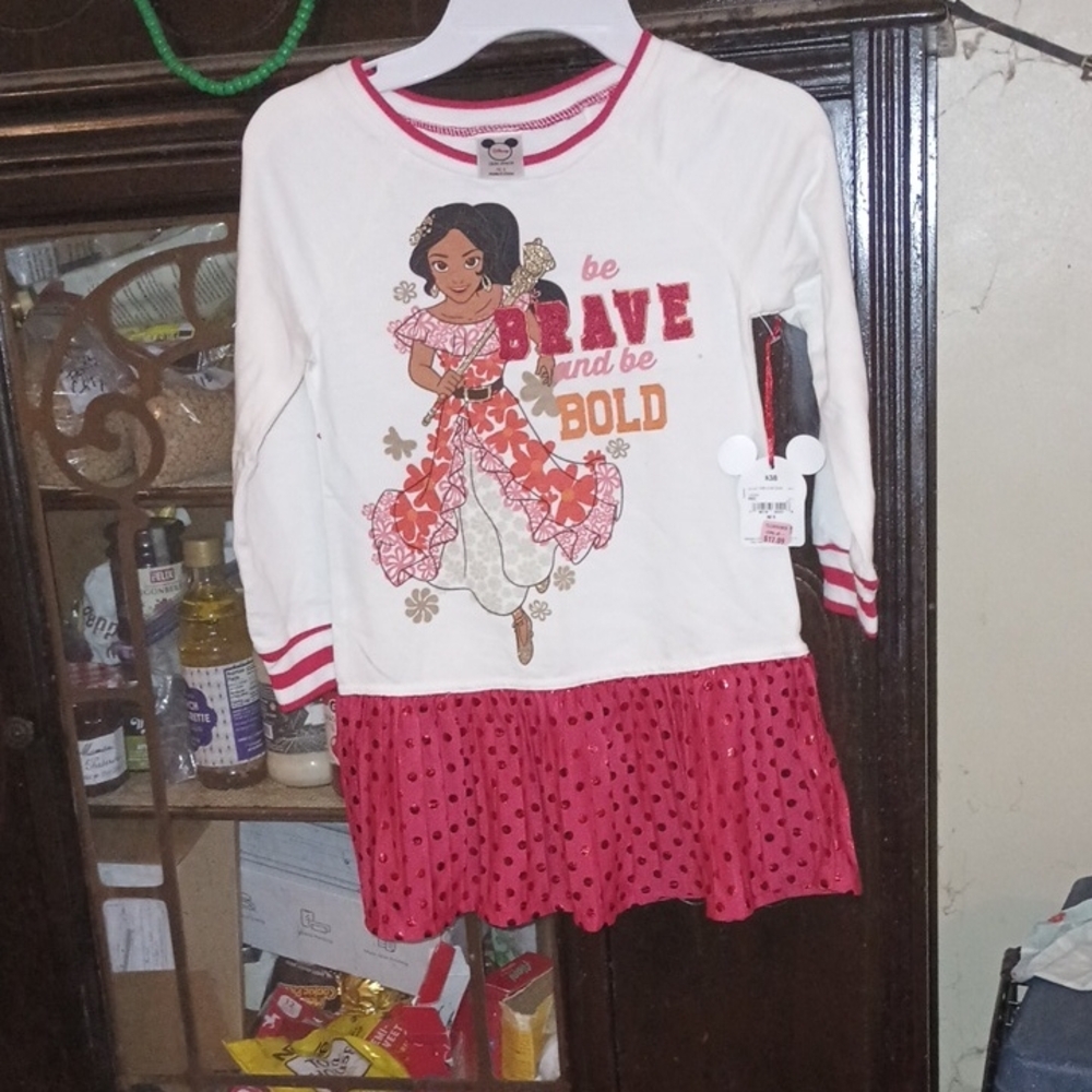 Disney Princess Long Sleeve Dress